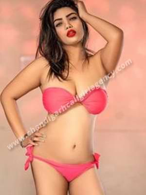 Mohali Escort Service